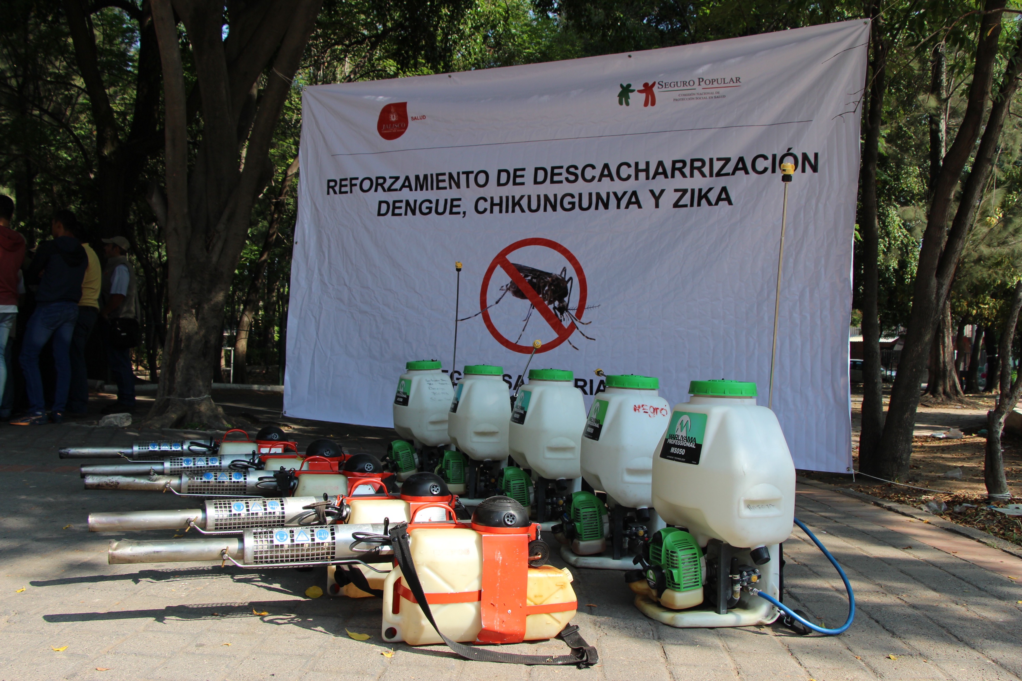 Refuerza Ssj Descacharrización Para Prevenir Dengue Chikungunya Y Zika Secretaría De Salud 7248